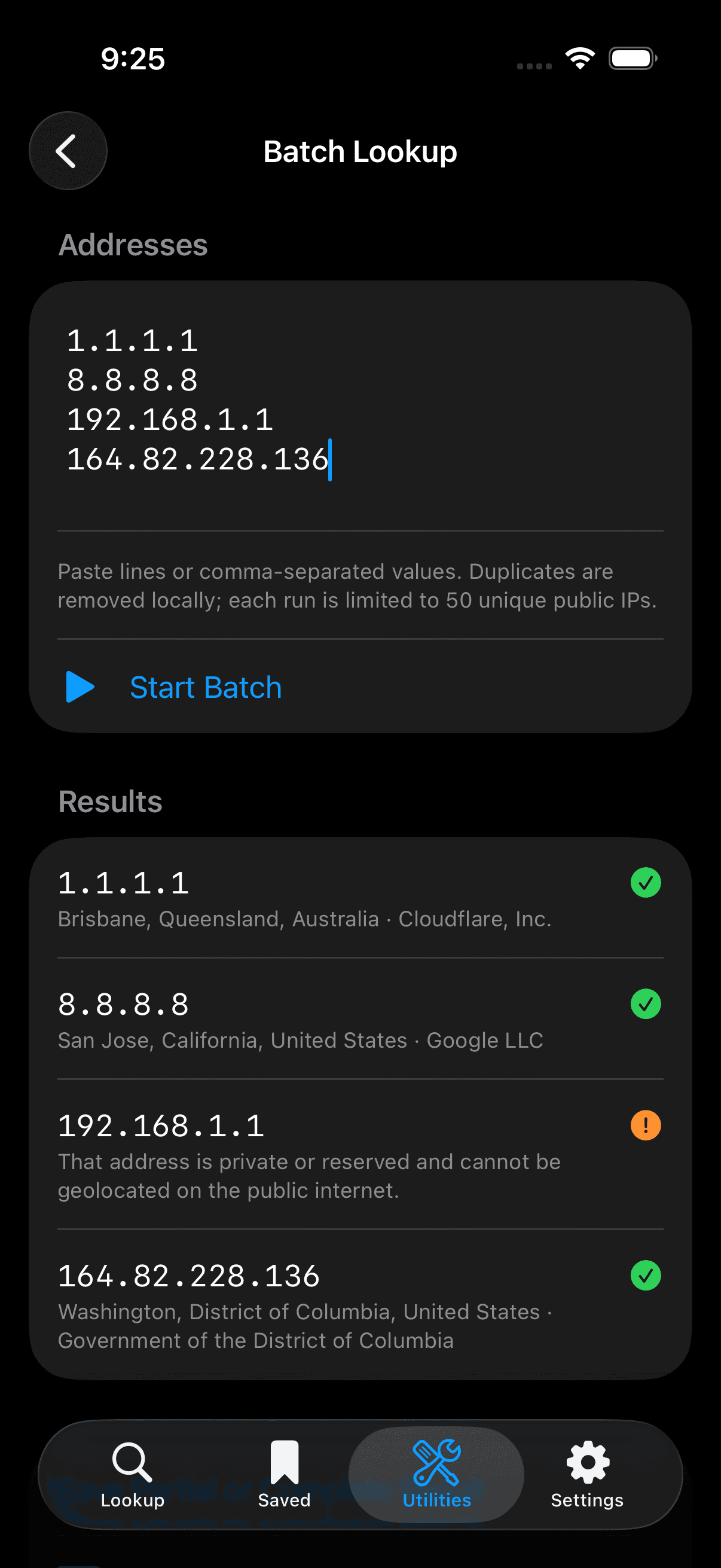 IP Lens Batch Lookup screen showing organized results for multiple public and reserved addresses